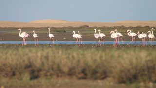 المنتزه الوطني أخنيفيس