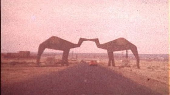 الطنـــــــطان في قاعة العمليات. 