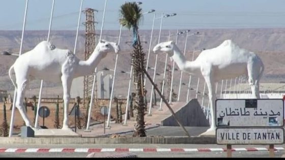 العبـــــور كاستعارة سياسية:   تحليل في خطاب السيد عامل إقليم طانطــــــــــــــان”