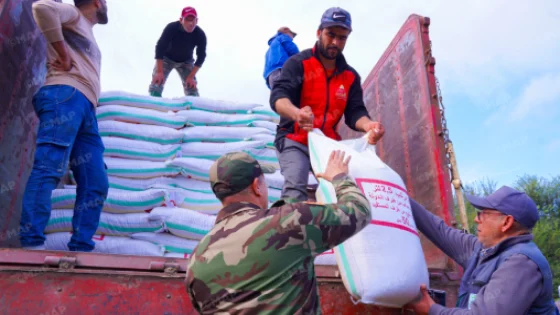 سيدي سليمان .. توزيع الشعير والأعلاف المركبة لفائدة مربي الماشية المتضررين من الفيضانات يشكل مرحلة أولى ستعقبها أشطر أخرى من الدعم (مسؤول)