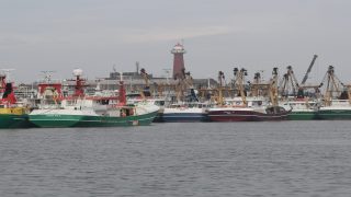 نصف أسطول الصيد الهولندي خارج الخدمة مع ارتفاع الديزل في أوروبا.