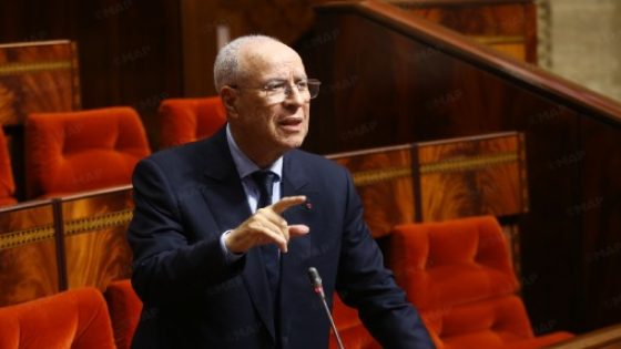 34 ألف مستفيد من أداء مناسك الحج لموسم 1447هـ (السيد التوفيق)