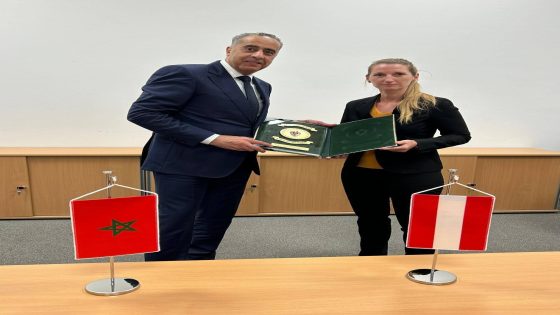 حموشي في فيينا لتعزيز التعاون الأمني الدولي ومكافحة الجريمة العابرة للحدود