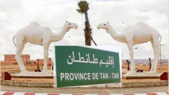 المجلس الجهوي للحسابات يكشف اختلالات في التدبير الميزانياتي لجماعات جهة كلميم واد نون
