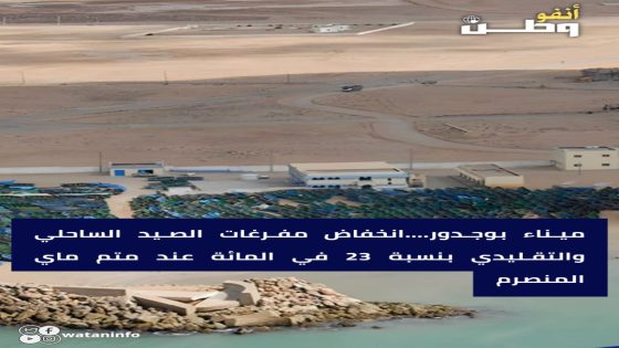 ميناء بوجدور: تراجع في حجم مفرغات الصيد الساحلي والتقليدي بـ 23% في متم شهر ماي