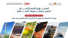 أسبوع الاستثمار الخاص بمغاربة العالم.. المركز الجهوي للاستثمار لكلميم وادنون يتعبأ لمواكبة المستثمرين