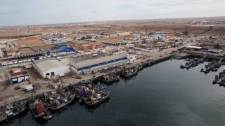 ميناء طانطان يسجل طفرة نوعية في صيد الأسماك السطحية.. 80 ألف طن وعائدات بـ276 مليون درهم منذ بداية 2026