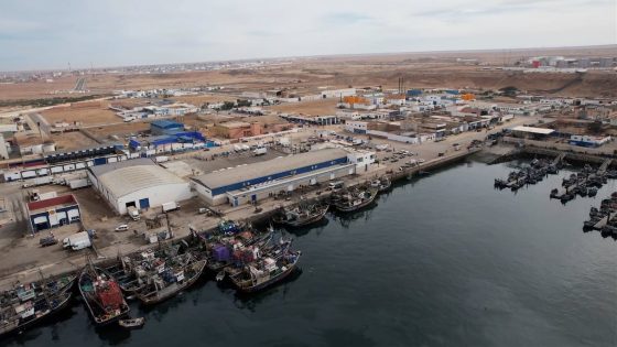ميناء طانطان يسجل طفرة نوعية في صيد الأسماك السطحية.. 80 ألف طن وعائدات بـ276 مليون درهم منذ بداية 2026