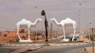 البرنامج الاستعجالي للتأهيل الحضري بالطنطان.. فرصة لتصحيح خيارات التشجير وإعطاء الأولوية للظل 
